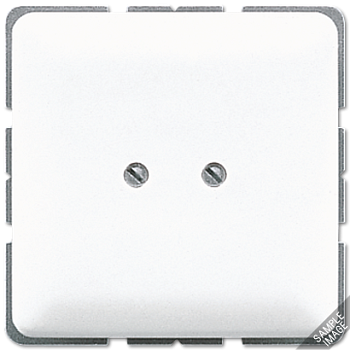 JUNG Глухая крышка с опорным кольцом, слоновая кость 561B