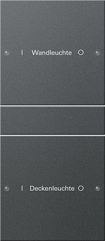 Gira Набор клавиш 2-местный (1+1),  ГРАВИРОВКА 220228