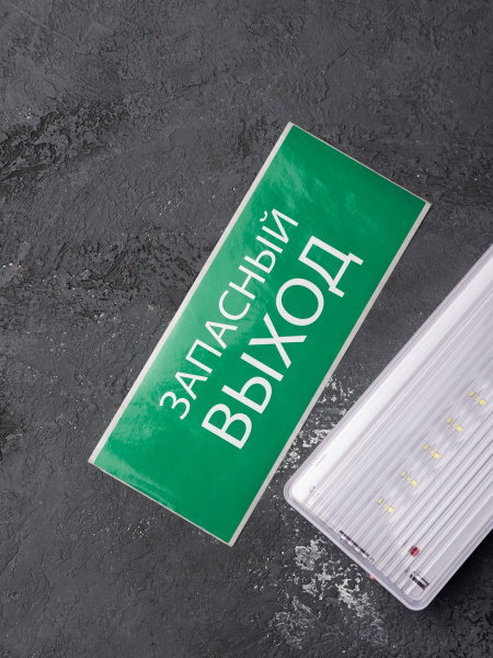 Купить EKF PROxima Пиктограмма "Запасный выход" 320х120мм (для EXIT, SAFEWAY-40)
