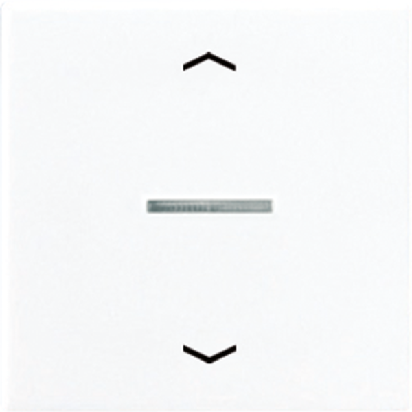 JUNG Клавиша для контрольного выключателя с символами вверх-вниз белый A590KO5PWW