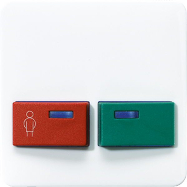 JUNG Крышка для изделий фирмы Ackermann белая CD642B-1WW