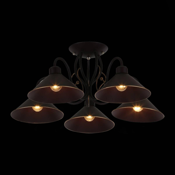 Купить Evoluce SLE120402-05 Светильник потолочный Черный/Черный E27 5*40W