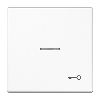 JUNG Клавиша для выключателя с символом «Ключ», белый LS990KO5TWW