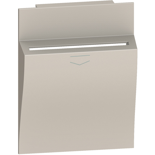 BT Living now Песочный Лицевая панель для карточного выключателя 2 мод KM22M2