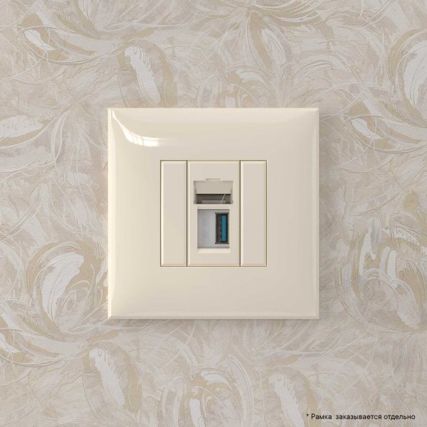 Купить DKC USB 3.0 розетка одинарная в стену, тип А-А, "Avanti", "Ванильная дымка"