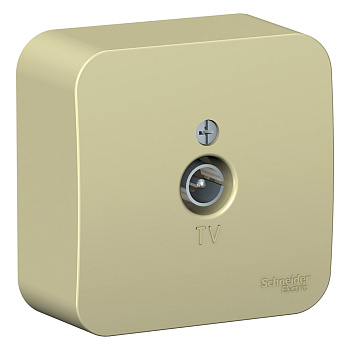 Systeme Electric Blanca наруж Беж Коннектор TV изолир. пластина