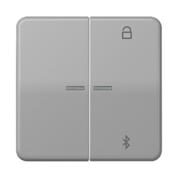 JUNG Таймер универсальный Bluetooth, серый CD1751BTGR