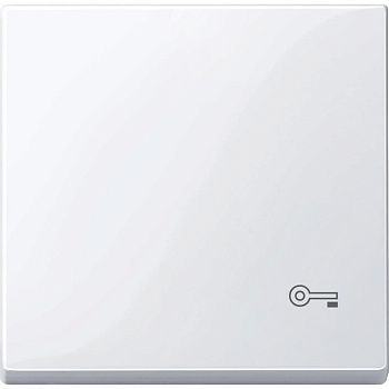 SE Merten SM Бел Актив Клавиша с пиктограммой «ключ» MTN3303-0325