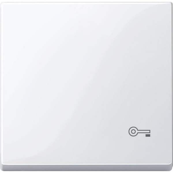 SE Merten SM Бел Актив Клавиша с пиктограммой «ключ» MTN3303-0325