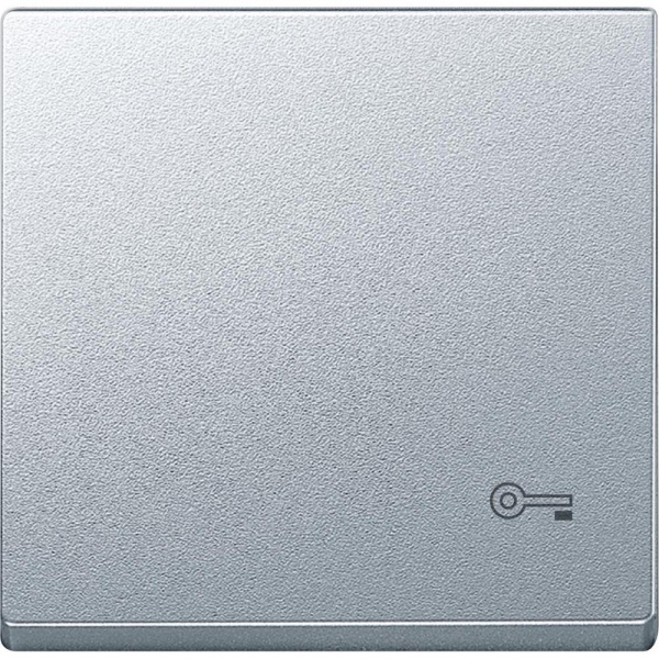 Купить SE Merten SM Алюминий Клавиша с пиктограммой «ключ» (MTN3303-0460)