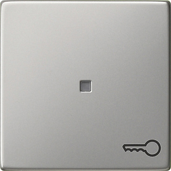 Gira Клавиша с пиктограммой "ключ" 0287600