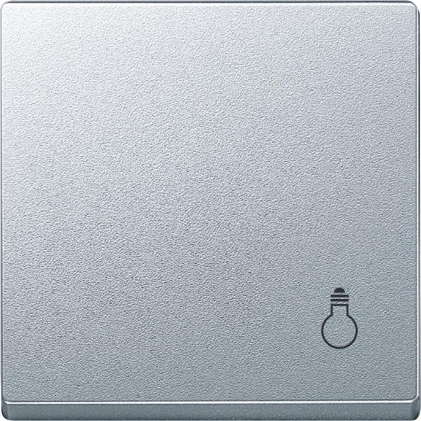 Купить SE Merten SM Клавиша с маркировкой «свет» (MTN439960)