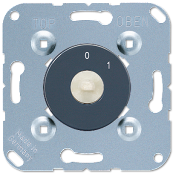 JUNG Поворотный выключатель 2-полюсный 20AX, 250В AC 1101-20