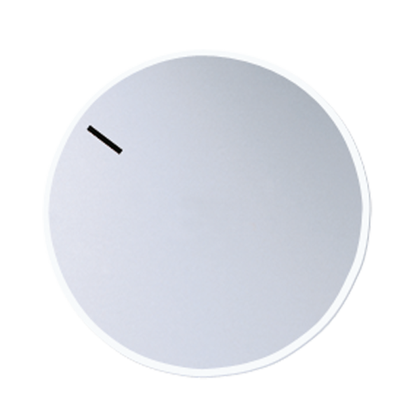 JUNG Специальная накладка, алюминий MSTR231AL