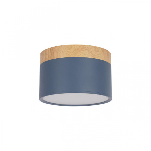 LOFT IT 10162 Blue Накладной светильник Grape, шт