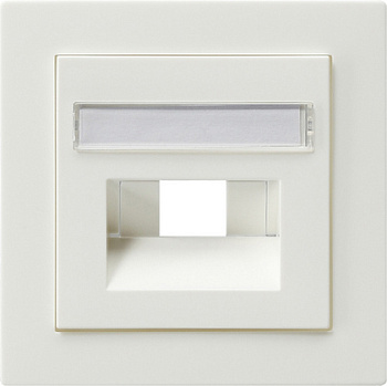Gira Накладка 50*50 мм для розеток UAE/IAE с полем для надписи 028440