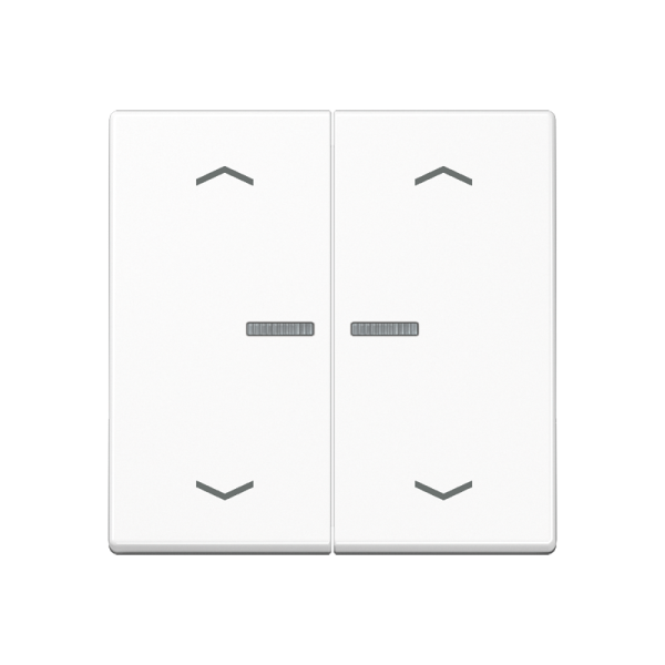 JUNG Клавиши для сдвоенной кнопки BCU, белый A595KO5MPWW