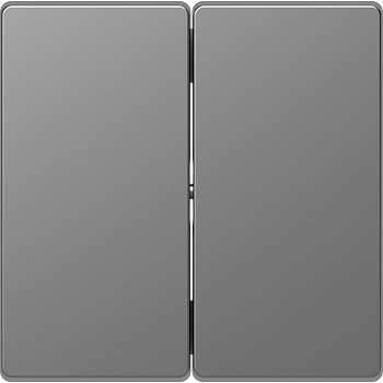 SE Merten D-Life Нержавеющая Сталь Клавиша 2-ная MTN3400-6036