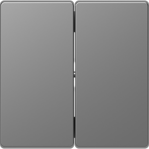 SE Merten D-Life Нержавеющая Сталь Клавиша 2-ная MTN3400-6036