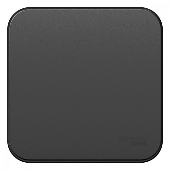 Systeme Electric Blanca наруж Антрацит Выключатель 1-клавишный с самовозвратом, 10А, 250В, изолир. пластина