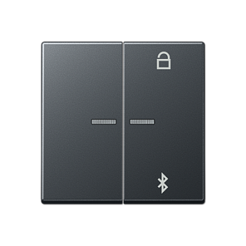 JUNG Таймер универсальный Bluetooth, матовый антрацит A1751BFBTANM