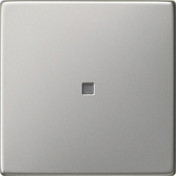 Gira Клавиша с контр. окном Sys55 Сталь 0290600
