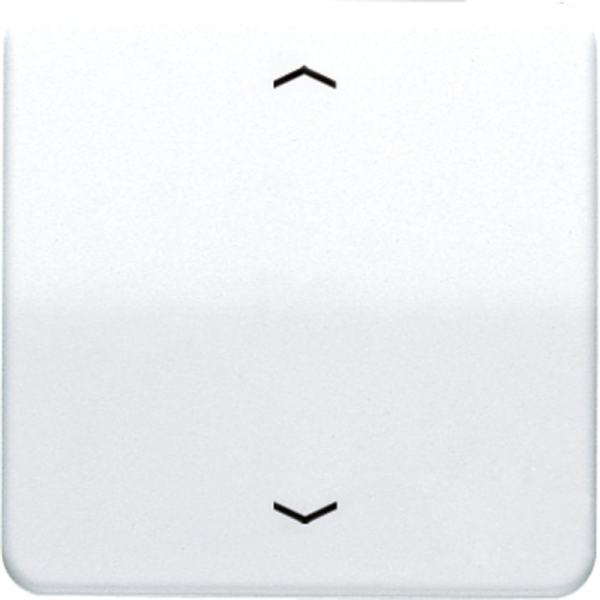 JUNG Клавиша для одинарной кнопки BCU белая CD590PWW