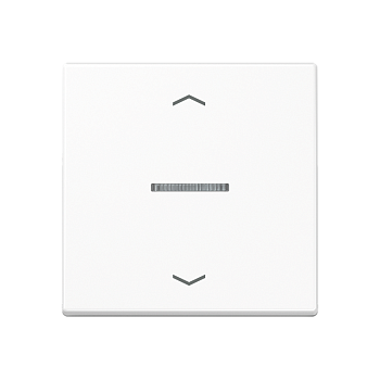 JUNG Клавиша, белый A590BFKO5PWW