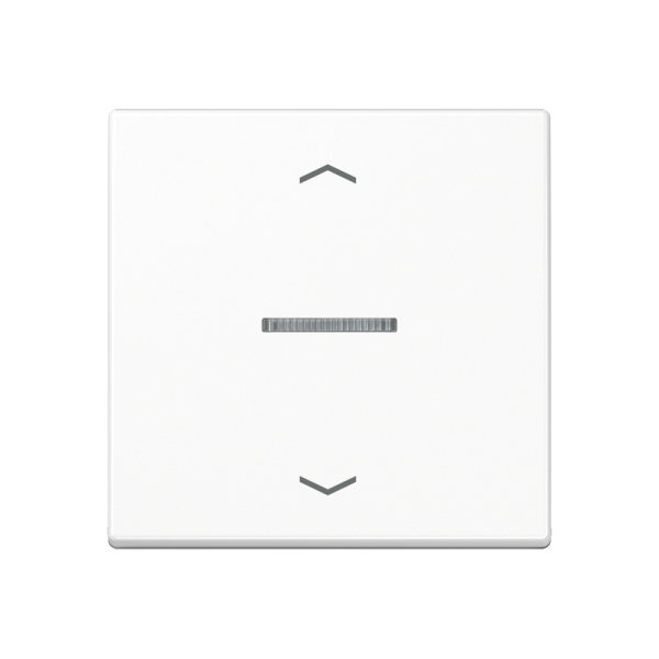 JUNG Клавиша, белый A590BFKO5PWW