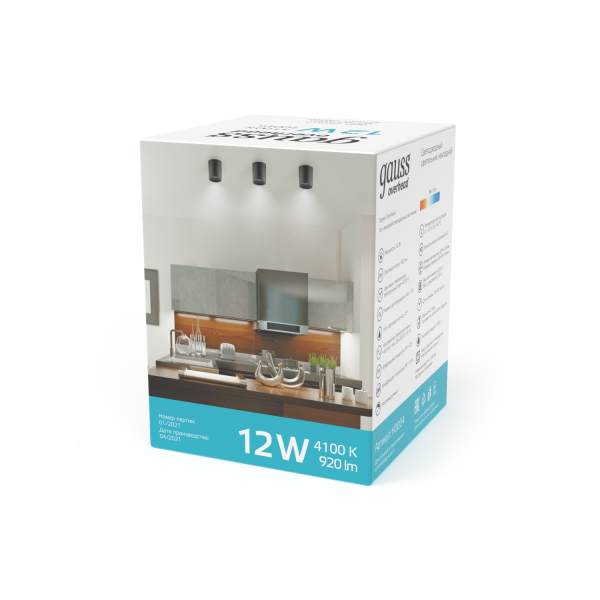 Купить Gauss Светильник Overhead накл цил 12W 920lm 4100K 170-240V IP20 79*100мм черный LED HD007