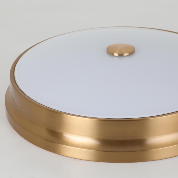 Купить Favourite Pannikin Потолочный светильник D410*H100 3*E27*40W, excluded 2375-3C