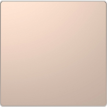 SE Merten D-Life Шампань Клавиша 1-ая MTN3300-6051