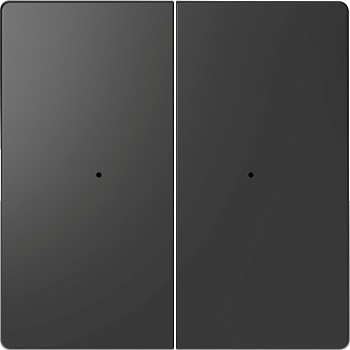 SE Merten D-Life Антрацит PlusLink Клавиша 2-ая без символов MTN5220-6034