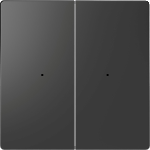 SE Merten D-Life Антрацит PlusLink Клавиша 2-ая без символов MTN5220-6034