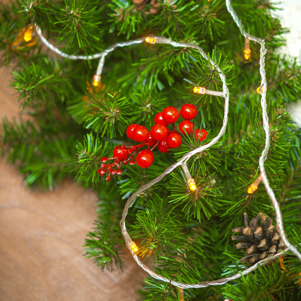 Купить Arlight Светодиодная гирлянда ARD-STRING-HOME-5000-CLEAR-50LED-STD WARM (230V, 3.5W) (Ardecoled, IP20) 025749