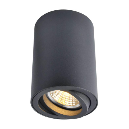 Arte Lamp SENTRY Потолочные светильники A1560PL-1BK