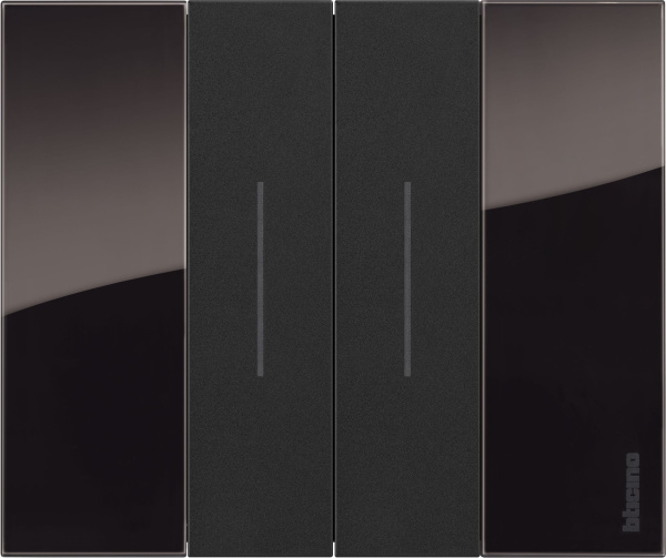 Купить BT Living now Ночь Рамка немецкий стандарт 2 мод KA4802DG