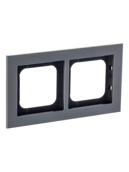 Купить ABB Axcent металл/платина Рамка 2-постовая 2CKA001754A4689