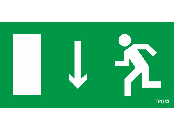 СТ ПЭУ 091 Указатель двери левооронний (250х115) SIRAH пиктограмма