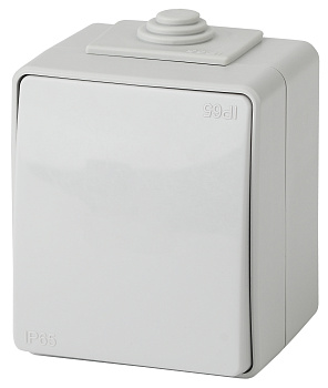 ЭРА 11-1601-03 Эксперт Серый Выключатель 1-кл ОУ IP65