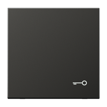 JUNG Антрацит Клавиша с символом "замок" AL2990TAN