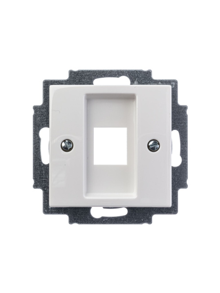 Купить ABB BJB Basic 55 Бел Плата центральная  1-я для коммуникац розеток 0210, 0211 и 0219 2CKA001753A0213