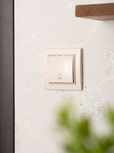 Купить EKF Basic Минск Бежевый Кнопка звонка , 10А, СП