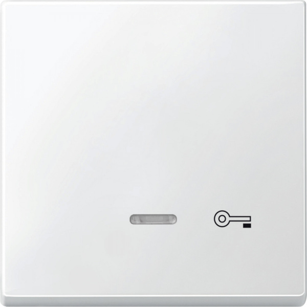 SE Merten SD Полярно-Бел Клавиша со световой индикацией, «дверь» (MTN437619)