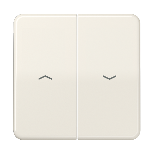 JUNG CD 500/CD plus Бежевая Клавиша 2-ая жалюзийная CD595P