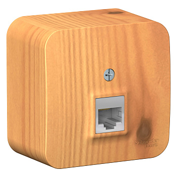 Systeme Electric Blanca наруж Ясень Розетка компьютерная RJ45, кат.5E, изолир. пластина