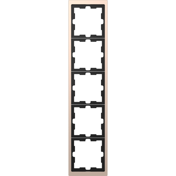 SE Merten D-Life Шампань Рамка 5-ая MTN4050-6551