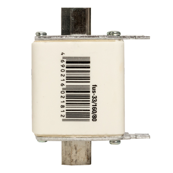 Купить EKF PROxima Плавкая вставка ППН-33 160/ 80А габарит 00