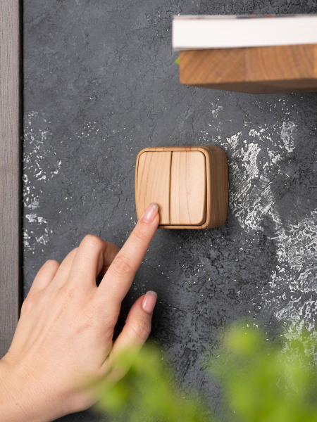 Купить EKF Basic Минск Светлое дерево Выключатель 2-кл, 10А, ОП