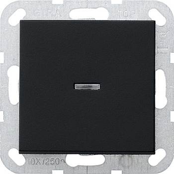 Gira Выключатель с клавишей 2-полюсный 0122005
